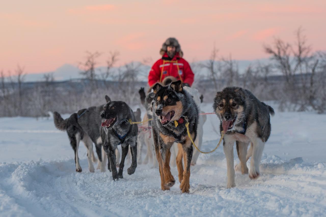 Husky Lodge Kiruna Exteriér fotografie